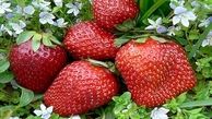 با این میوه ها پوستی صاف و زیبا داشته باشید