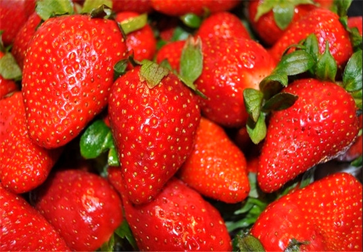 ۵ خوراکی مفید برای حل فراموشی