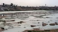 فراخوان تحریم کالاهای ترکیه در عراق