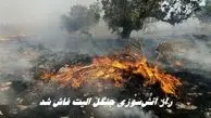 راز آتش‌سوزی جنگل الیت فاش شد ؛ چرا الیت خاموش نمی‌شود ؟
