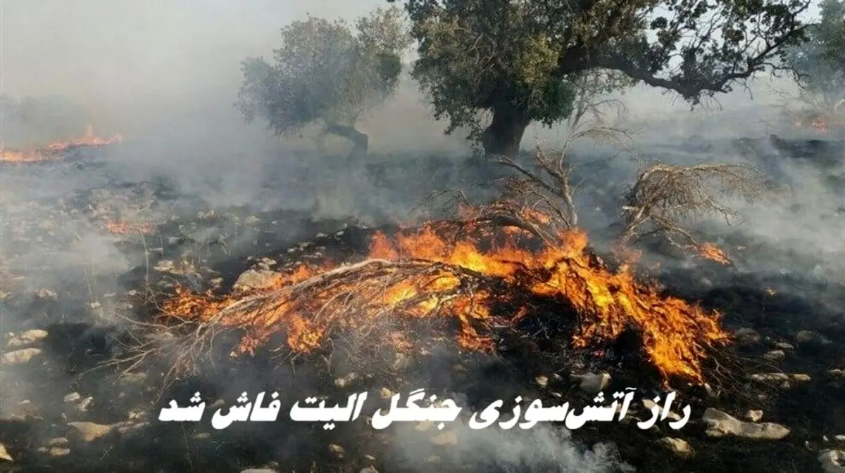 راز آتش‌سوزی جنگل الیت فاش شد ؛ چرا الیت خاموش نمی‌شود ؟