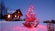 گران‌‌ترین درخت کریسمس تاریخ +تصاویر