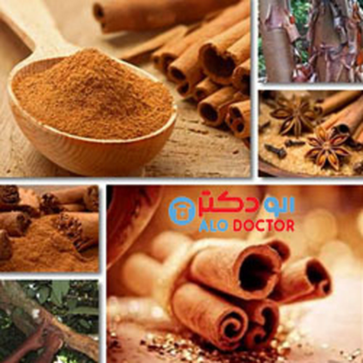 پر خاصیت ترین ادویه پائیزی