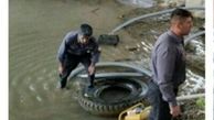 جان ماهیان زاینده‌رود را به خطر انداخت