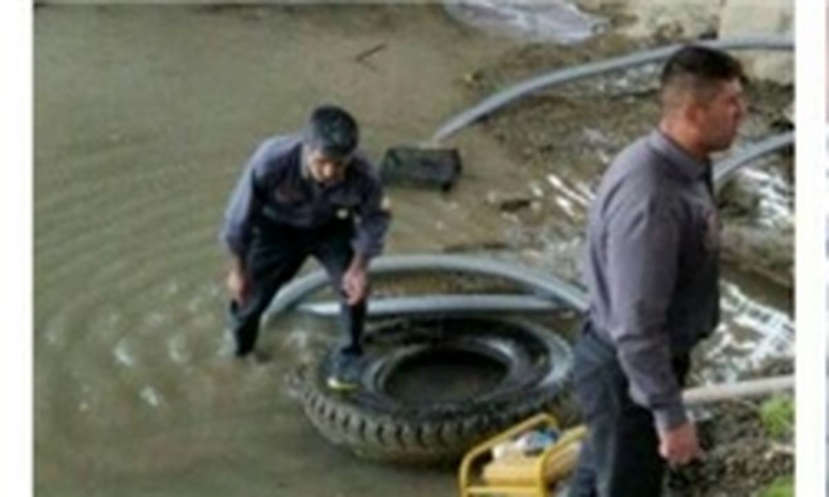 جان ماهیان زاینده‌رود را به خطر انداخت