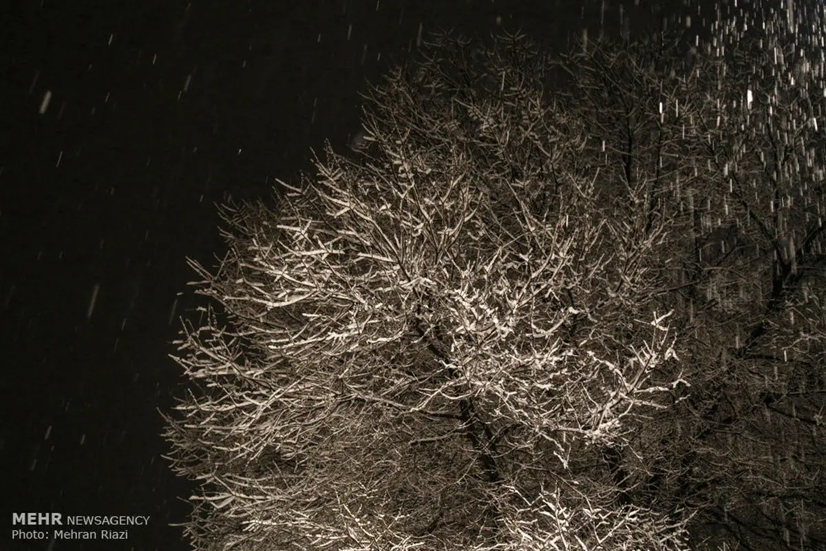 ۱۰۰ مورد تماس با آتش نشانی تهران در خصوص سقوط اجسام