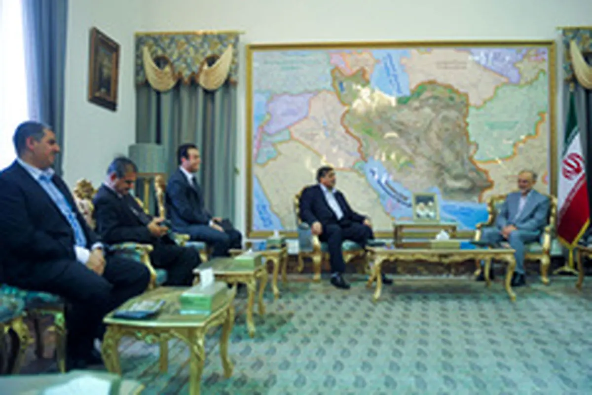 تاکید صالحی بر سرمایه‌گذاری مشترک ایران و عراق