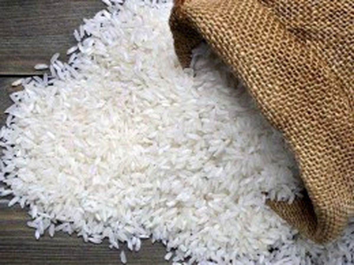 برنج 20 درصد ارزان شد | برنج کیلویی 65 هزار تومان !