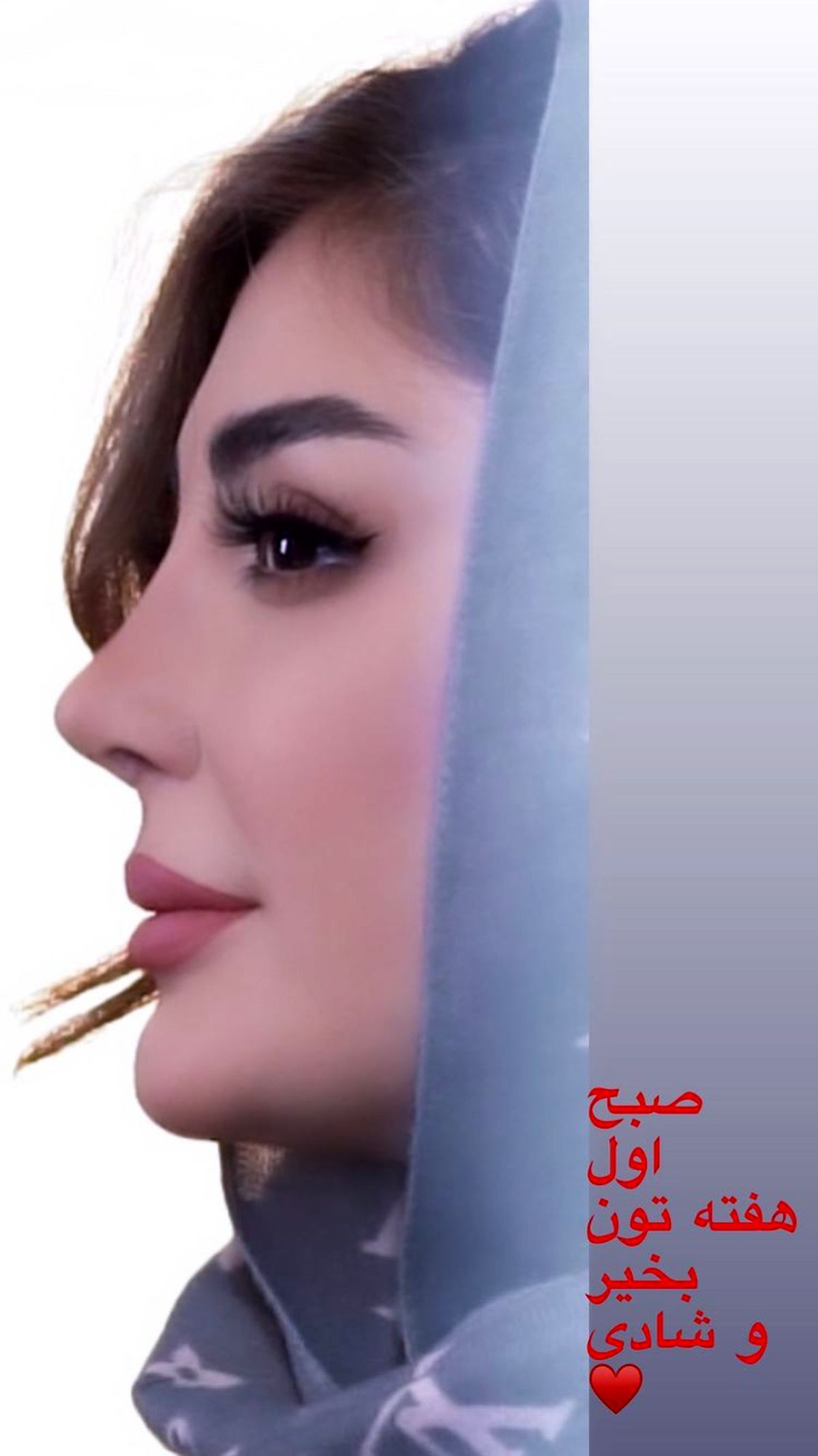 ظاهر جدید نیوشا ضیغمی پس از جراحی زیبایی + عکس