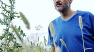 بازیگر زیر آسمان شهر چقدر لاغر شده + عکس