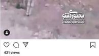 تصاویر دلخراش و ضد انسانی در صفحه محسن تنابنده+عکس