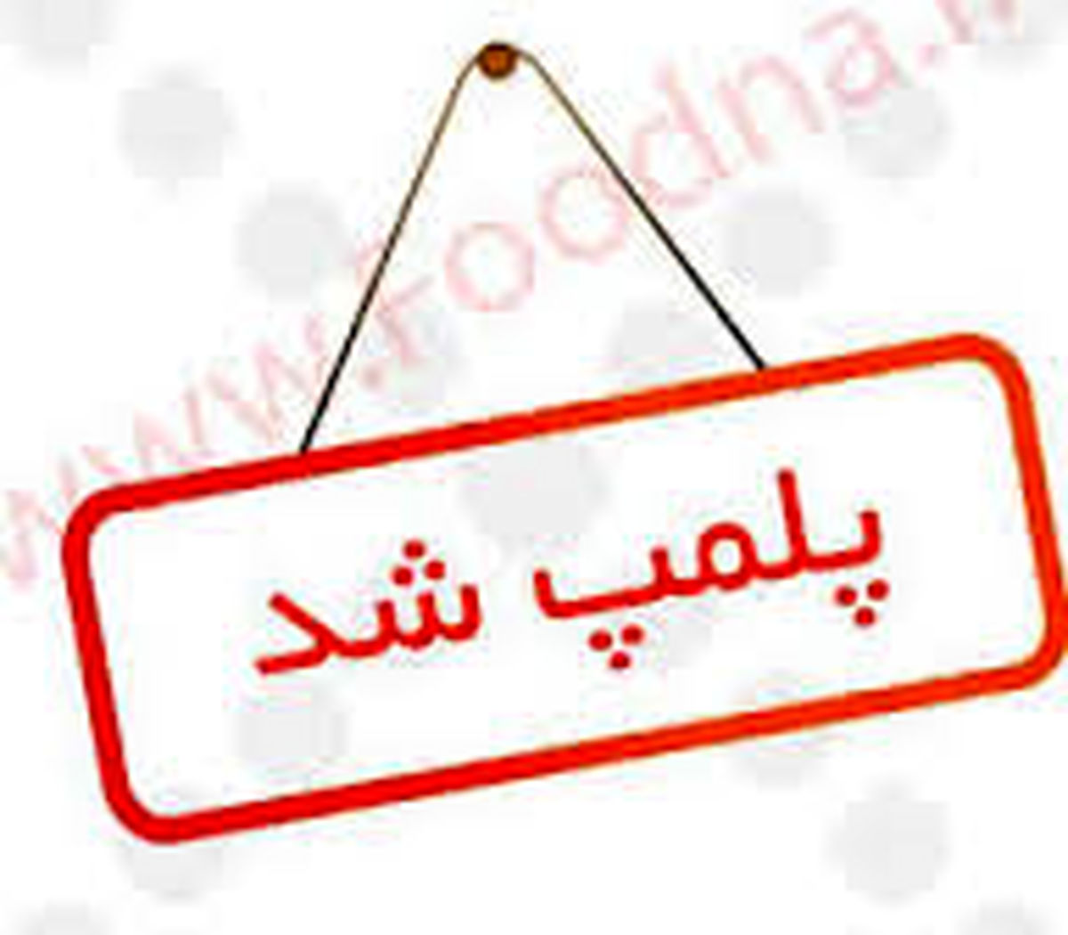 پلمب تمام شعبه‌های یک مؤسسه مالی غیرمجاز