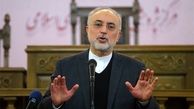 صالحی: بخش معدن اشتغالزایی بالایی دارد