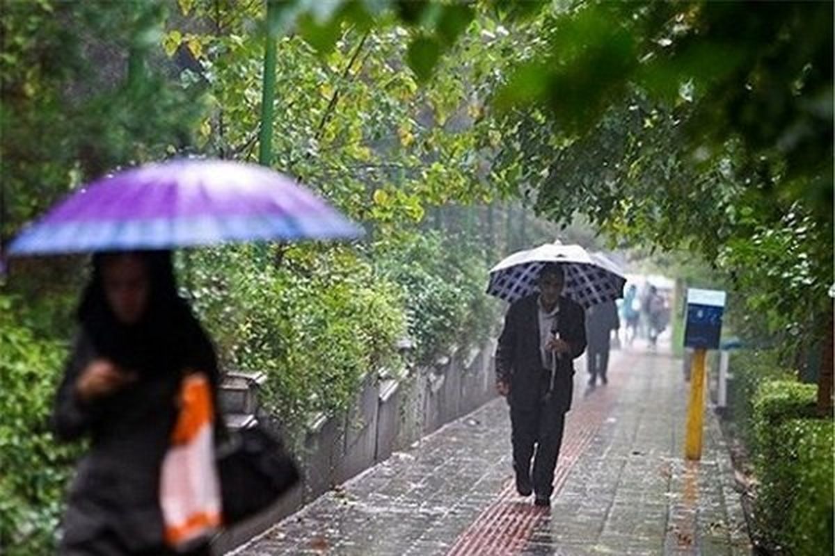گزارش عدم آبگرفتگی معابر اصلی در شمال تهران