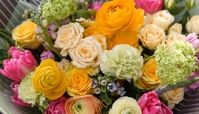 بهترین گل برای عذرخواهی 