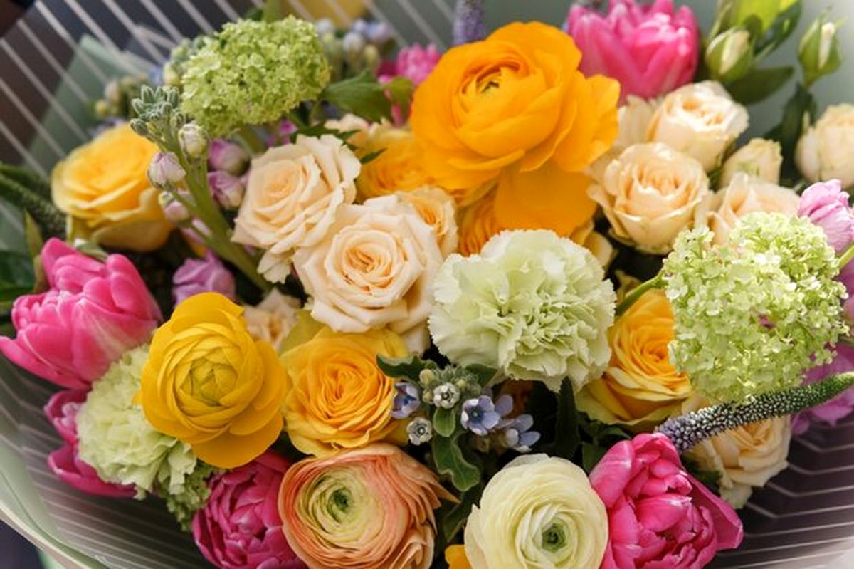 بهترین گل برای عذرخواهی 