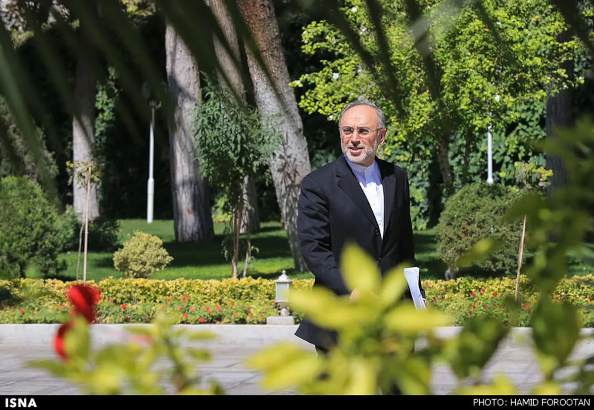نیروگاه هسته‌یی در کرانه خلیج فارس ایجاد می‌شود