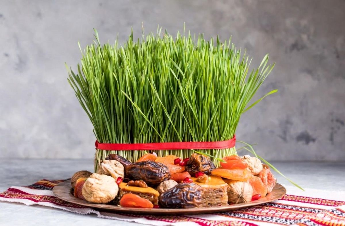 کاشت سبزه فوری در کمترین زمان برای جاماندگان