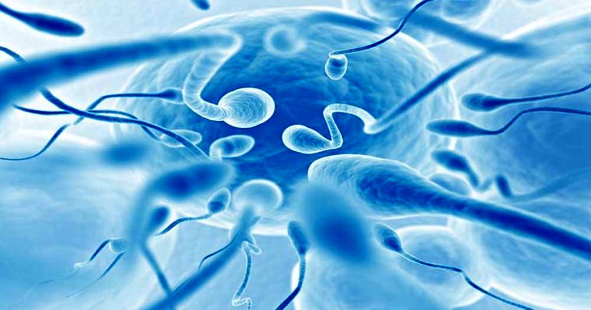 تلقیح مصنوعی شرعی چگونه است؟