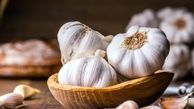 خواص سیر ناشتا برای لاغری و نکات طلایی درست مصرف کردن سیر