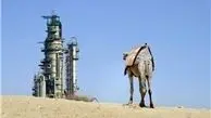  اقتصاد عربستان از نفت جدا نخواهد شد