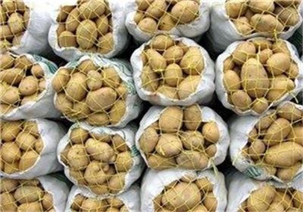 دلیل گرانی سیب زمینی و کاهش قیمت