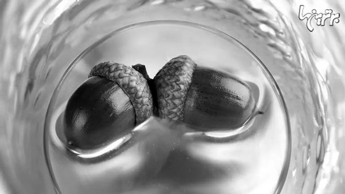 چطور از اشیای معمولی عکس‌های حرفه‌ای بگیریم؟