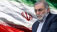 حداقل سیلی ایران به عاملان ترور فخری‌زاده، توقف داوطلبانه پروتکل الحاقی است
