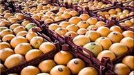 دم خروس را باور کنیم یا سخن آقای وزیر را!