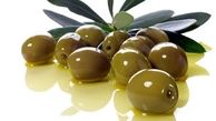 روغن زیتون یک ضد سرطان قوی 