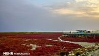 تشخیص کاهش سطح آب خلیج گرگان با تصاویر ماهواره‌ای 