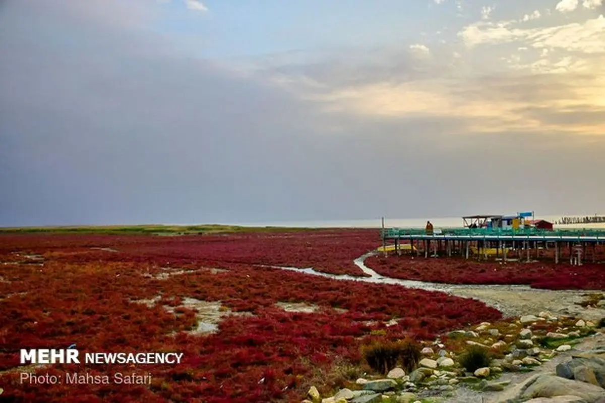 تشخیص کاهش سطح آب خلیج گرگان با تصاویر ماهواره‌ای 
