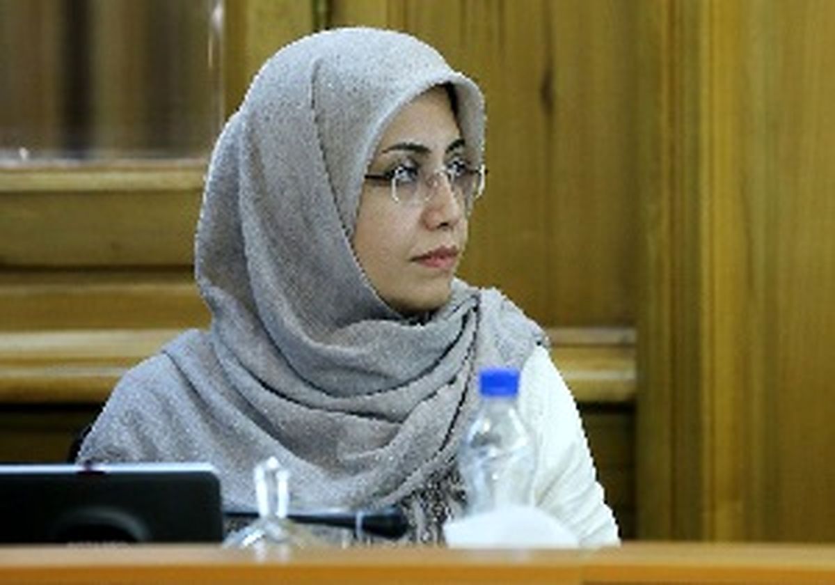 مفسر قانون، مجلس است و ما تابع قانونیم