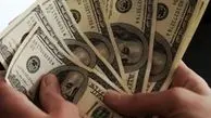 دوام تصمیمات دولت ضامن شفاف‌سازی بازار ارز