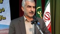 انتقاد شدید مجری طرح گندم از شورای اقتصاد