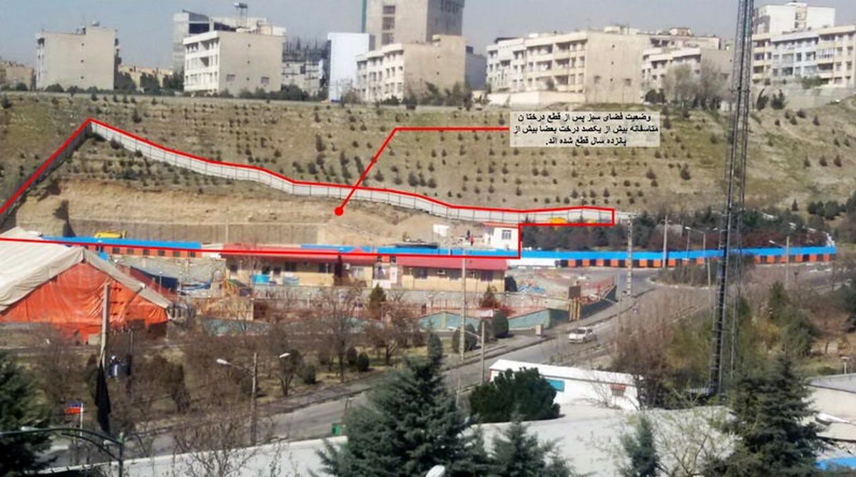 برخورد قانونی با مسببان قطع درختان شهرک والفجر