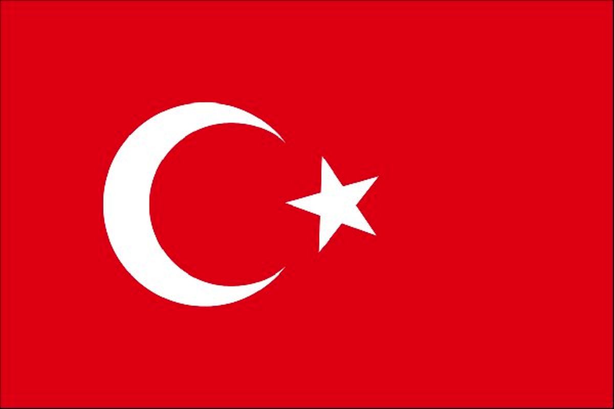  بیش از 100 مظنون داعشی در پایتخت ترکیه دستگیر شدند