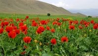 5 مورد از جاهای دیدنی محلات بهشت ایران