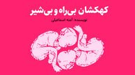 داستان‌ دنباله‌دار «کهکشان بی‌راه و بی‌شیر»