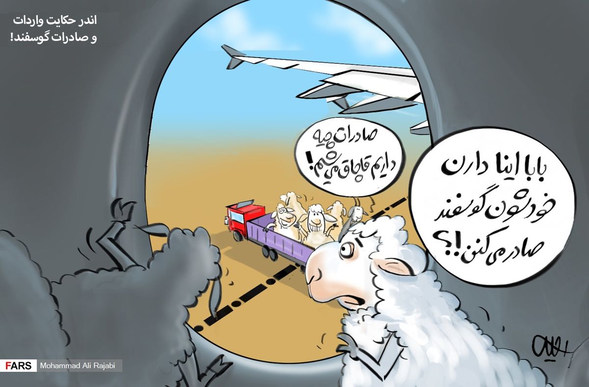 کاریکاتور/رقابت دولت در واردات و صادرات دام زنده با قاچاقچیان! 