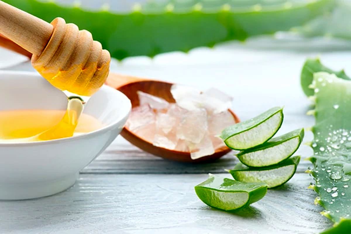 خواص شگفت انگیز آلوئه ورا برای مو
