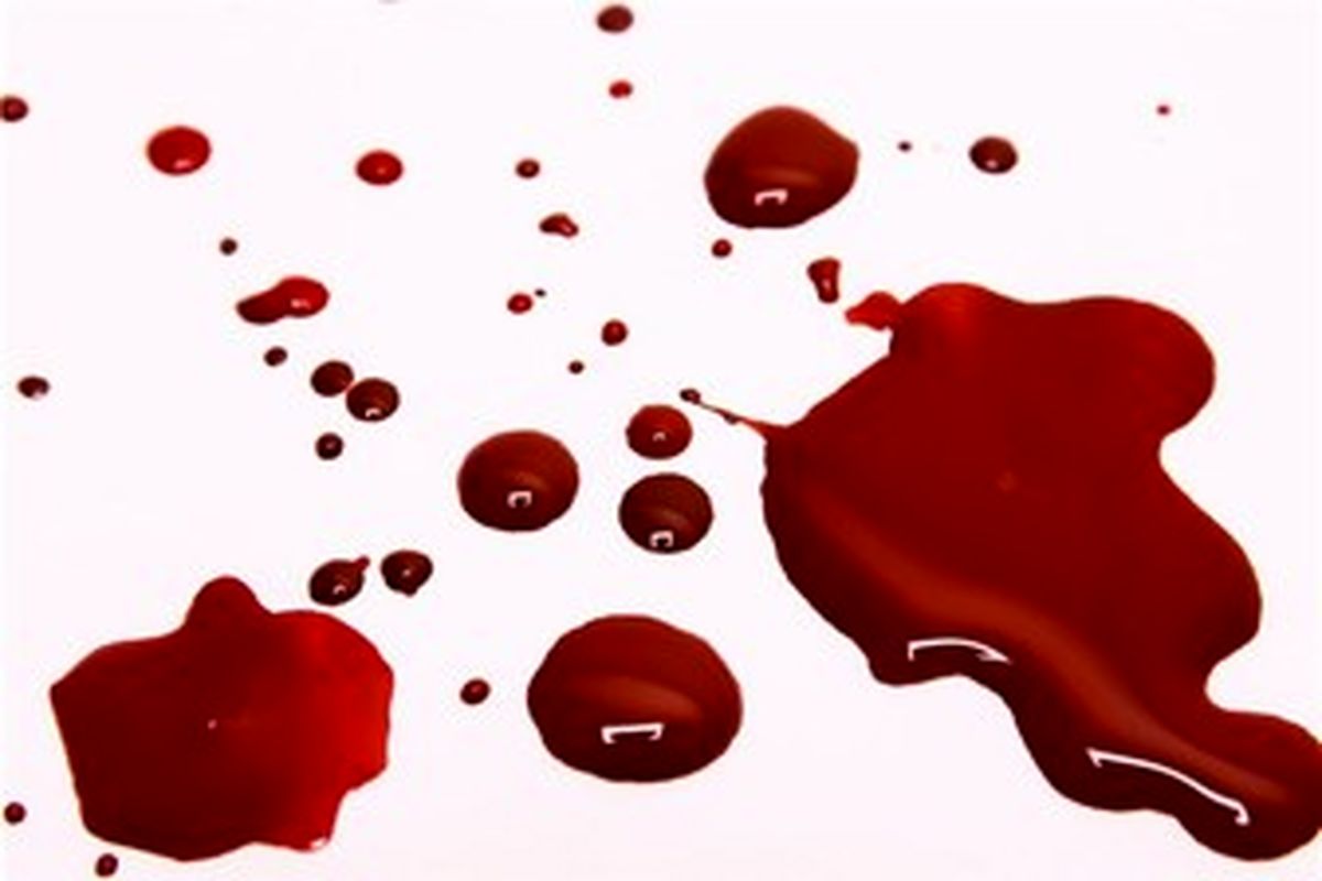 بازداشت ۸ متهم در پرونده درگیری منجر به قتل در پارک دانشجو