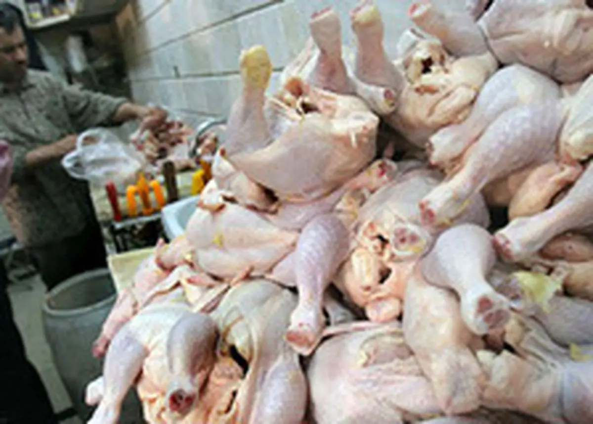 گوشت مرغ در رمضان باید کمتر از ۶۰۰۰ تومان باشد