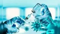 چرا ساخت واکسن بیش از یک سال زمان می‌برد؟
