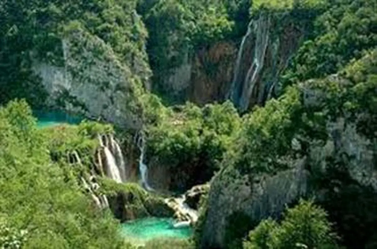 گلایه رهبر انقلاب از قطع درختان