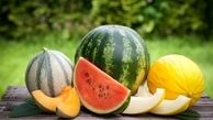 مشخصات طالبی، خربزه و هندوانه سالم و شیرین