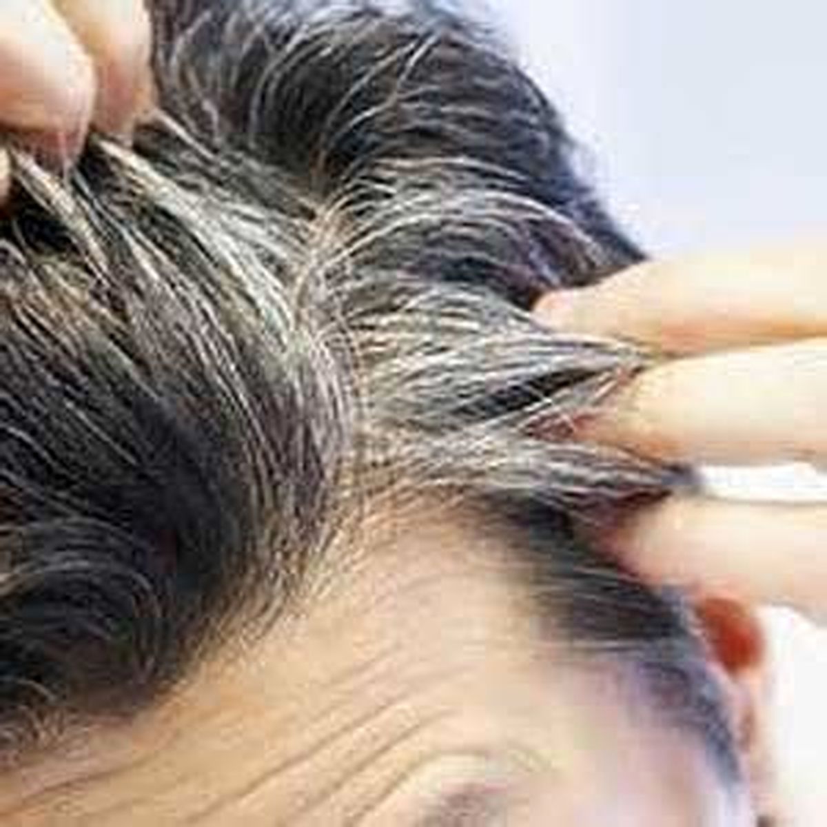 کندن موهای سفید خوب است یا بد؟