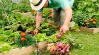 برای جلوگیری از آفت زدن سبزی‌ها چه کنیم؟