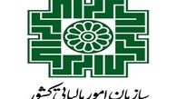  پناهی از سازمان امور مالیاتی می‌رود؟ 