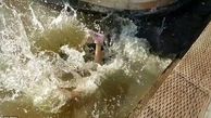 شیردریایی دختربچه کانادایی را به درون آب کشید+تصاویر